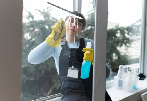 Nettoyage de vitres intérieures et extérieures à Vert-le-Petit
